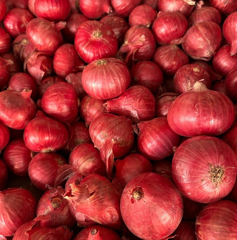 WhatsApp Image 2024-11-14 at 10.43.44 AM